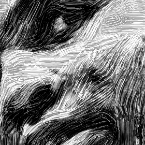 cassius clay thick detail