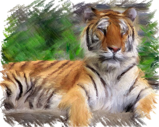 Tiger with 3D Effect Parameter Set number 1