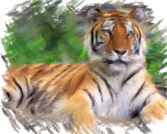 Tiger with no 3D Effect