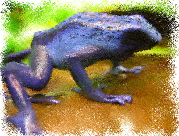 Blue Frog Painted GMX-PhotoPainter