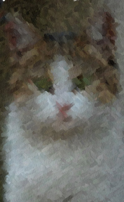Cat Painting - First Stage