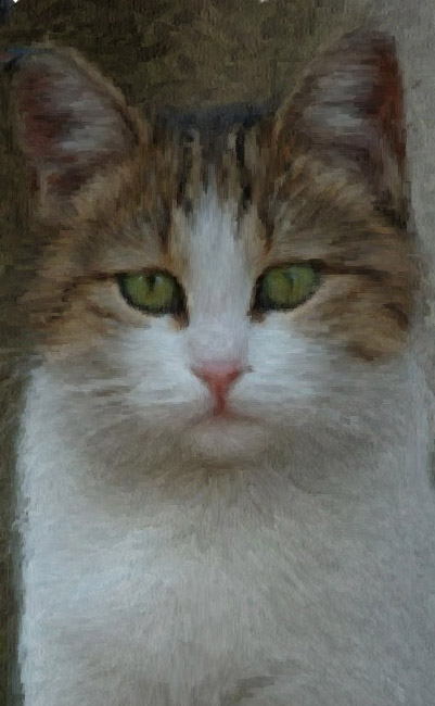 Cat-Painting-Stage 3