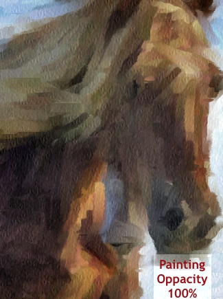 Painting Oppacity 100%