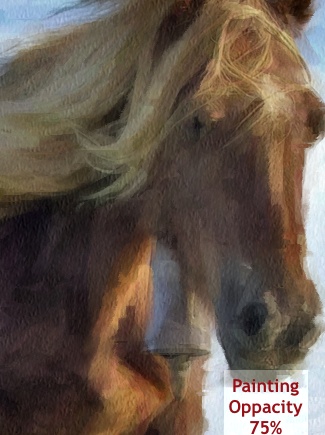 Painting Oppacity 75%